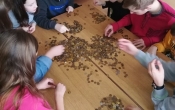 53533159_1251667638316912_5189441054830493696_n
