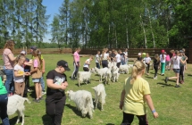 Wycieczka do Wartkowic 17