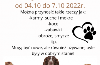Zbiorka rzeczy do schroniska (1)