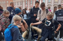 wycieczka do Poznania klas starszych (22)