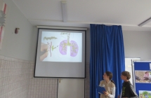 Swiatowy Dzien Bez Tytoniu SP Milaczew (3)