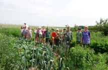 Program dla szkol 5