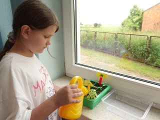 Program dla sz 3