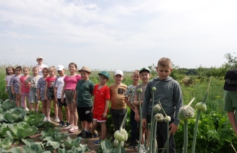 Program dla sz 4