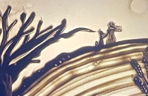 Uczniowie na przedstawieniu pt. Maly Ksiaze 5.12.2025 r (5)