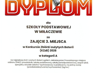DYPLOM - 3 miejsce
