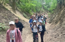 SP MIlaczew wycieczka Sandomierz - Kazimierz Dolny czerwiec 2026 r (12)