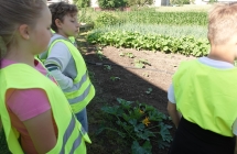 W ekologicznym ogrodzie (5)
