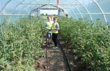 W ekologicznym ogrodzie (3)