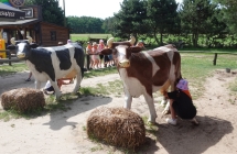 Westernland kl. I-III i przedszkole (12)