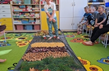 Dary jesieni przedszkole (14)