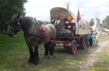 SDC11393