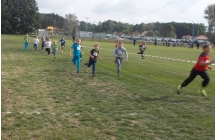 DSCN1929