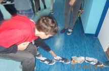 DSCN2378