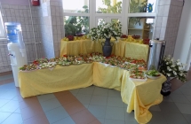 DSCN0010