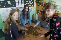 DSCN8661